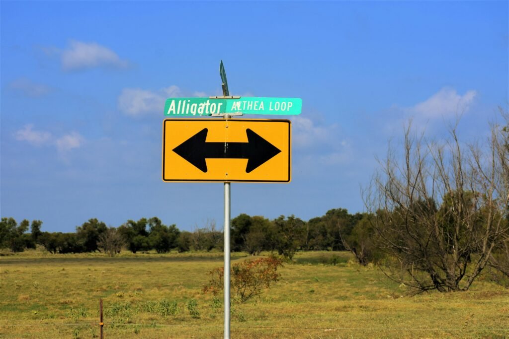 Adult driver taking Texas written license test practice online