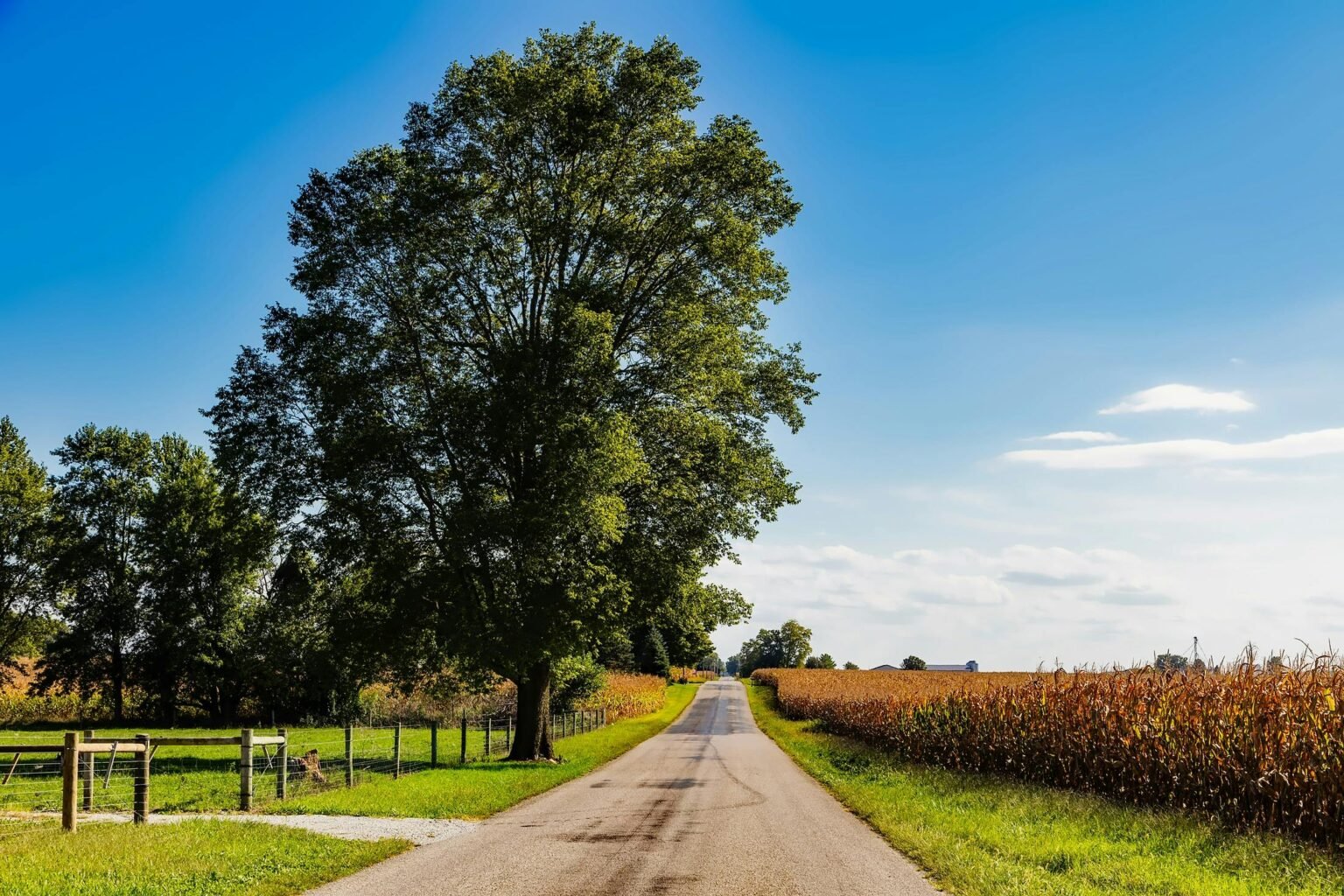 Indiana BMV Practice Test - Free Driver's License Exam Prep