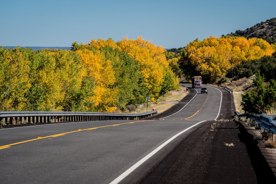 New Mexico DMV Permit Practice Test – Prepare to Pass